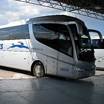 bus.jpg